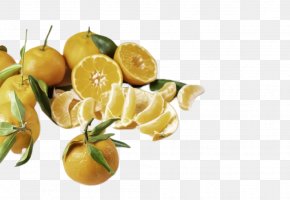 Vegetarian Food Clementine - Natural Foods Fruit Food Mandarin Orange Citrus PNG