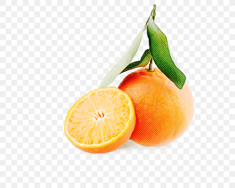 Orange, PNG, 596x659px, Citrus, Bitter Orange, Citric Acid, Clementine, Food Download Free