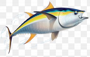 Fish - Yellowfin Tuna Fishing Friend Of The Sea PNG