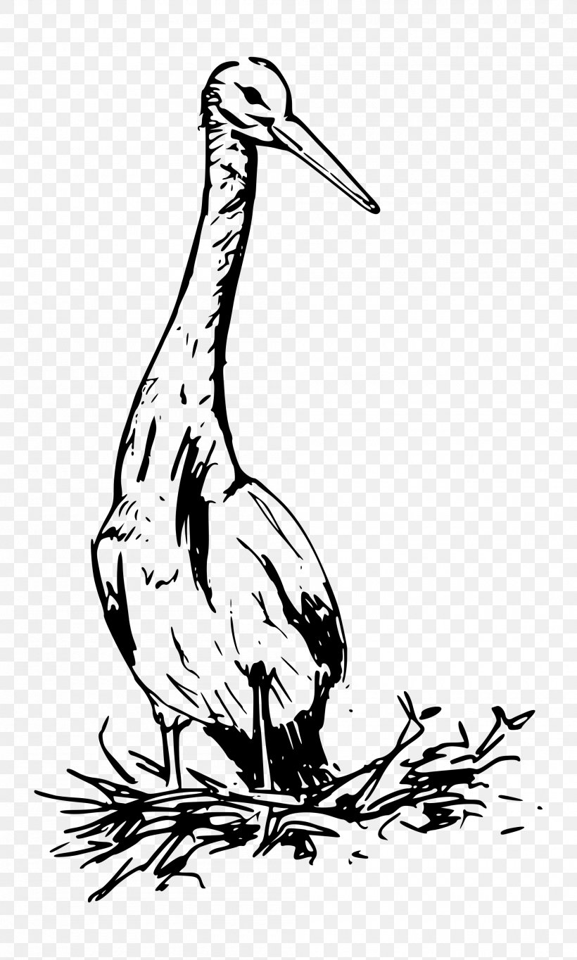 Bird White Stork Clip Art, PNG, 2000x3327px, Bird, Artwork, Beak, Black And White, Ciconiiformes Download Free