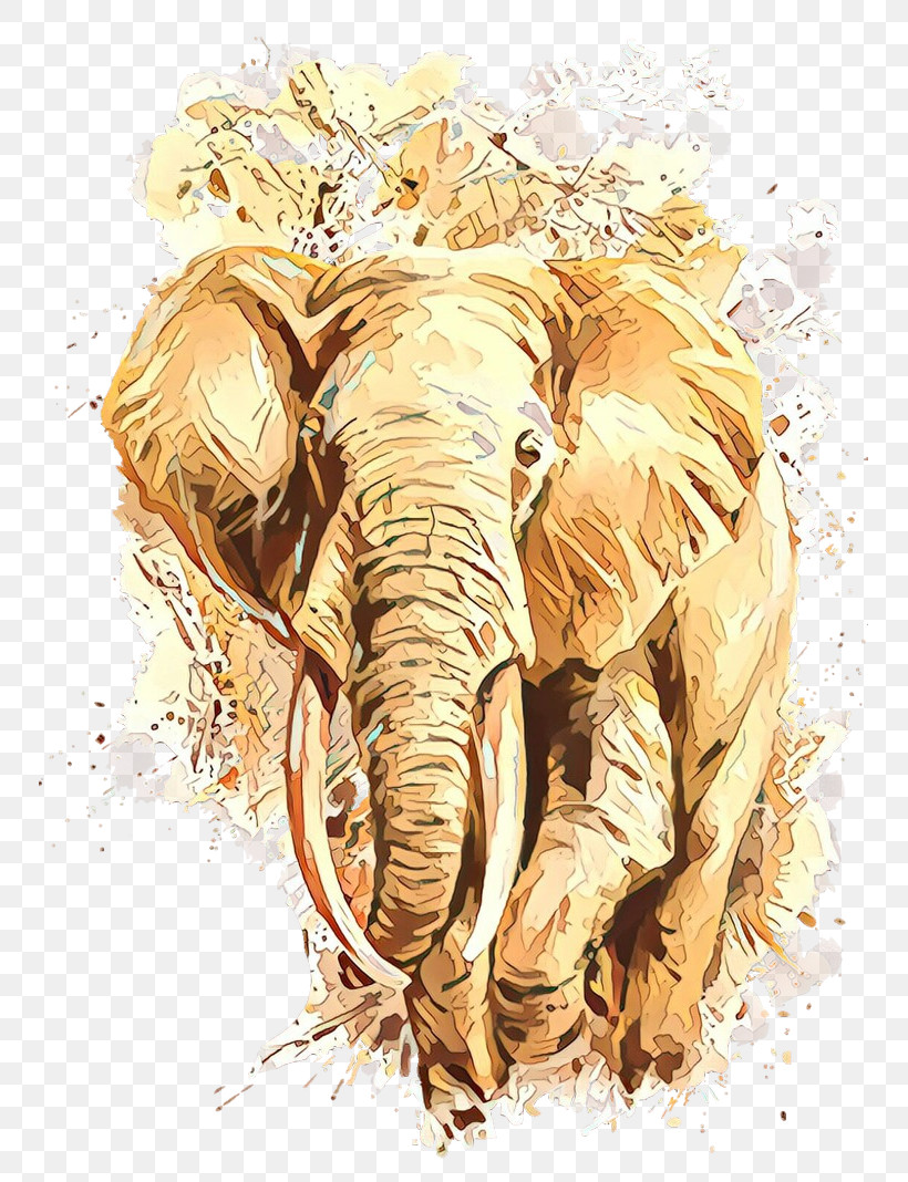 Indian Elephant, PNG, 749x1068px, Elephant, African Elephant, Indian Elephant, Wildlife Download Free