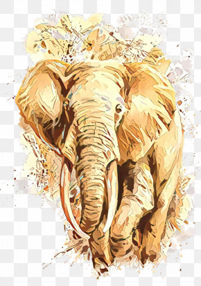 Indian Elephant PNG