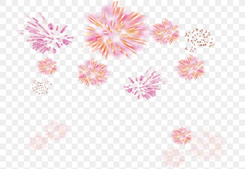 Petal Pattern, PNG, 2480x1710px, Petal, Flower, Peach, Pink, Point Download Free