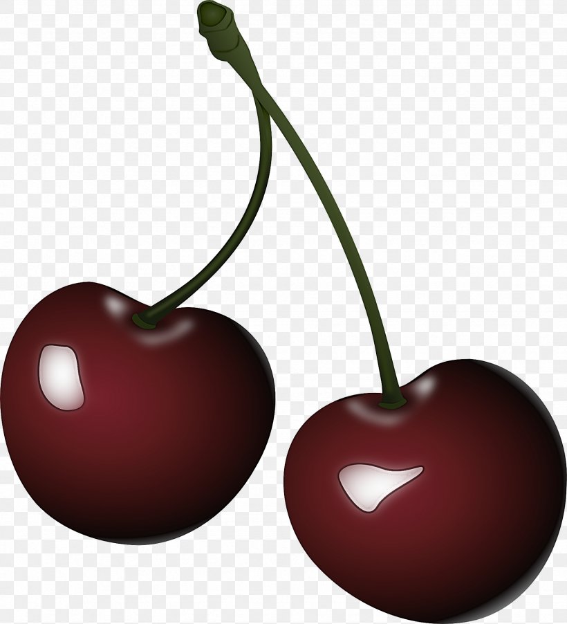 Cherry Fruit Plant Food Tree, PNG, 1744x1920px, Cherry, Drupe, Food, Fruit, Heart Download Free