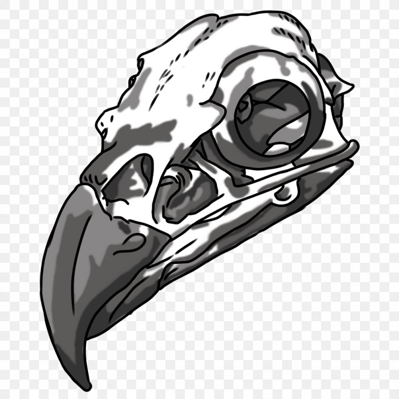 Drawing Bald Eagle Skull Bone, PNG, 1024x1024px, Drawing, Art, Automotive Design, Bald Eagle, Black And White Download Free