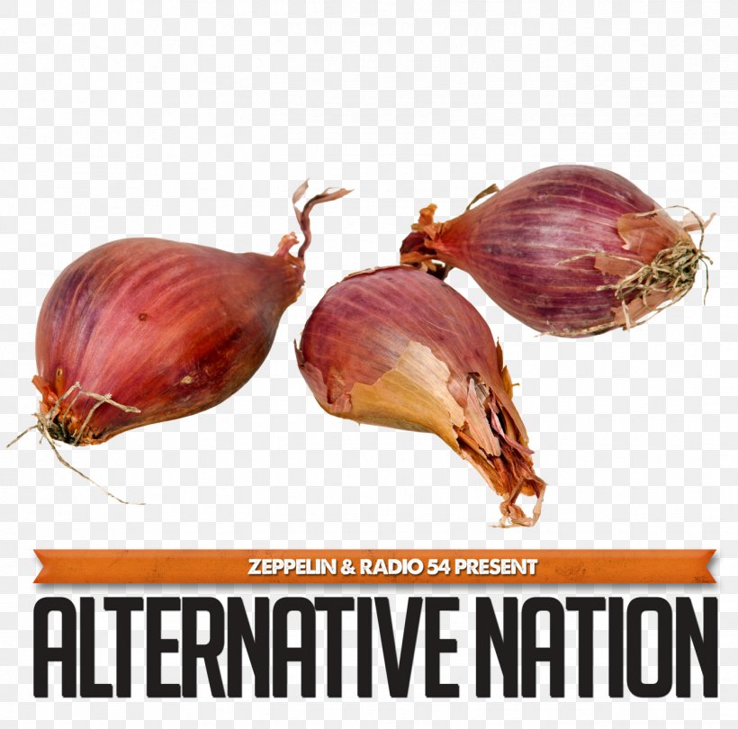 Shallot Garlic Potato Onion Allium Chinense Chives, PNG, 1341x1326px, Shallot, Allium, Allium Chinense, Bulb, Chives Download Free