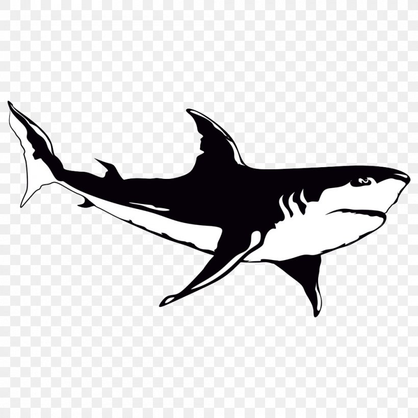 Shark Cartoon Illustration, PNG, 1000x1000px, Shark, Animal, Art, Black And White, Cartilaginous Fish Download Free