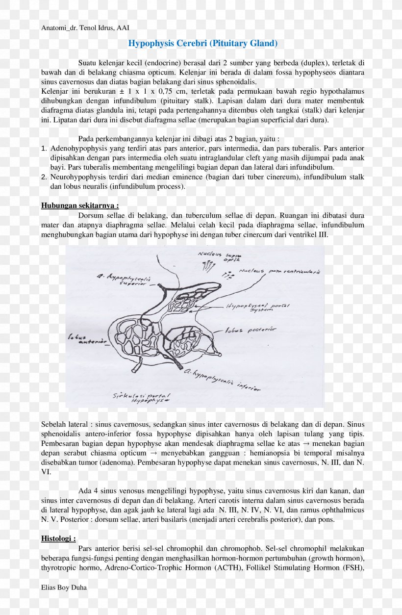 Document Line Angle Organism, PNG, 1700x2600px, Document, Area, Black And White, Diagram, Jaw Download Free