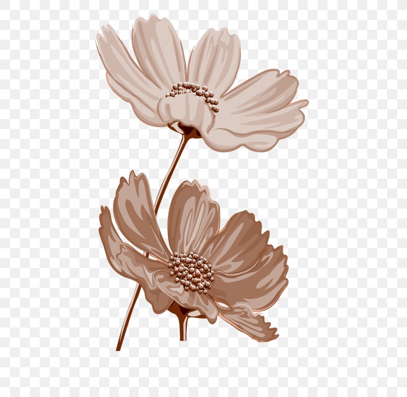 Flower Floral Design Petal Scrapbooking Clip Art, PNG, 507x800px, Flower, Common Daisy, Cut Flowers, Floral Design, Floristry Download Free