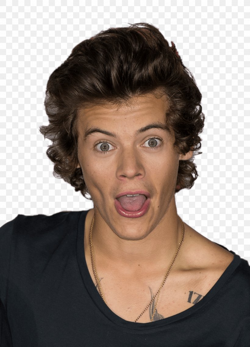 Harry Styles One Direction This Is Us Hairstyle Png 2167x3000px