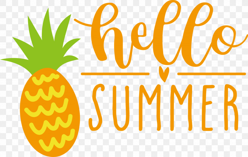 Hello Summer, PNG, 3000x1901px, Hello Summer, Commodity, Fruit, Logo, Meter Download Free