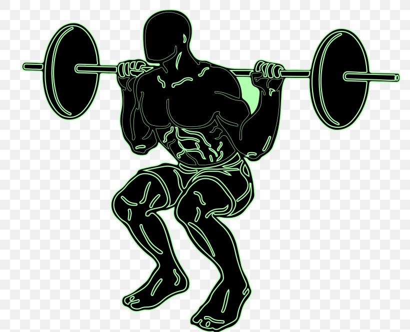Squat Exercise Weight Training Olympic Weightlifting Clip Art, PNG, 800x665px, Squat, Arm, Barbell, Bench Press, Bodybuilding Download Free