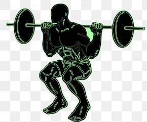 Squat - Squat Exercise Weight Training Olympic Weightlifting Clip Art PNG