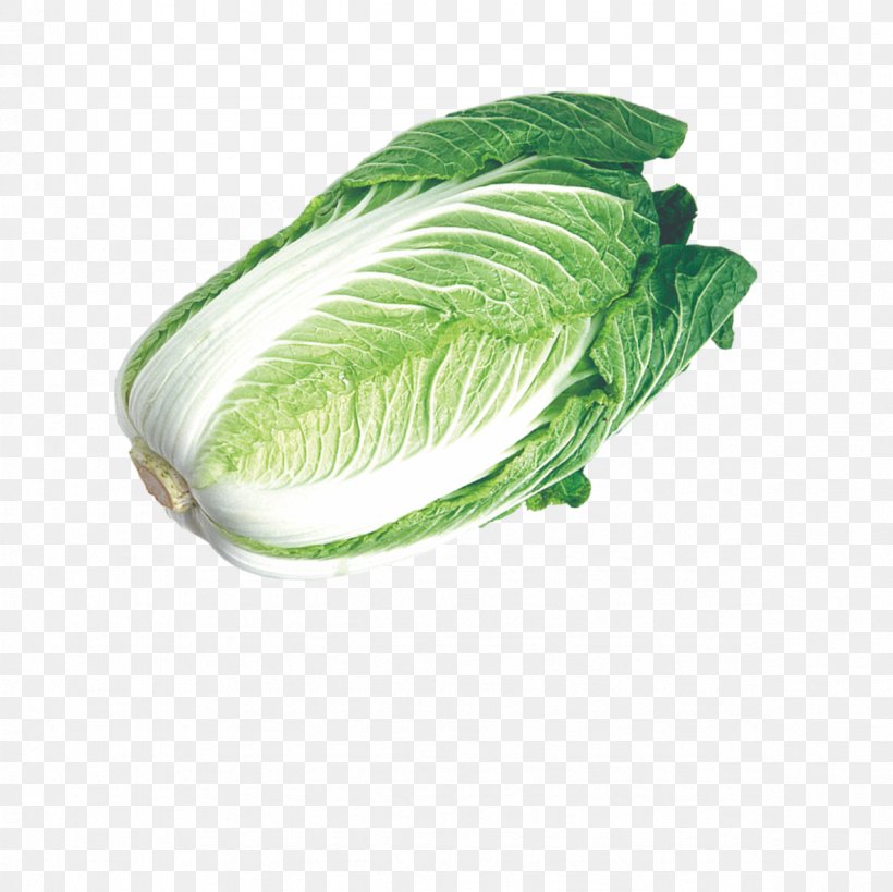 Chinese Cabbage Napa Cabbage Umami Vegetable, PNG, 1181x1181px, Chinese Cabbage, Cabbage, Cauliflower, Farmers Market, Google Images Download Free