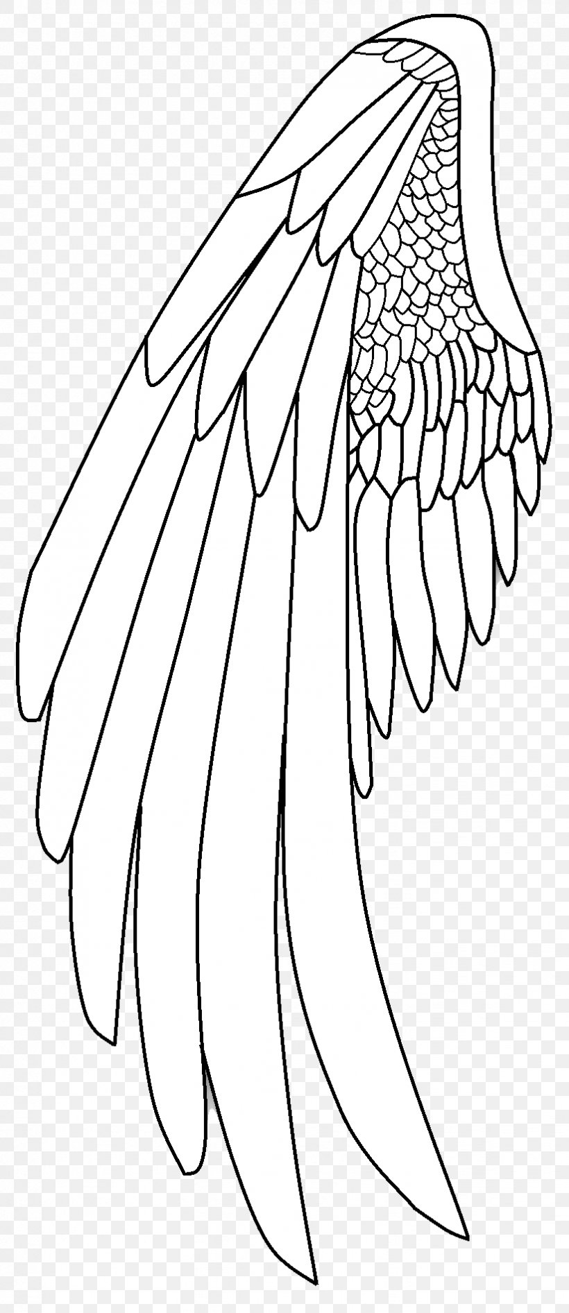Drawing Line Art Illustration Sketch Painting, PNG, 823x1900px, Drawing, Angel, Area, Art, Artwork Download Free