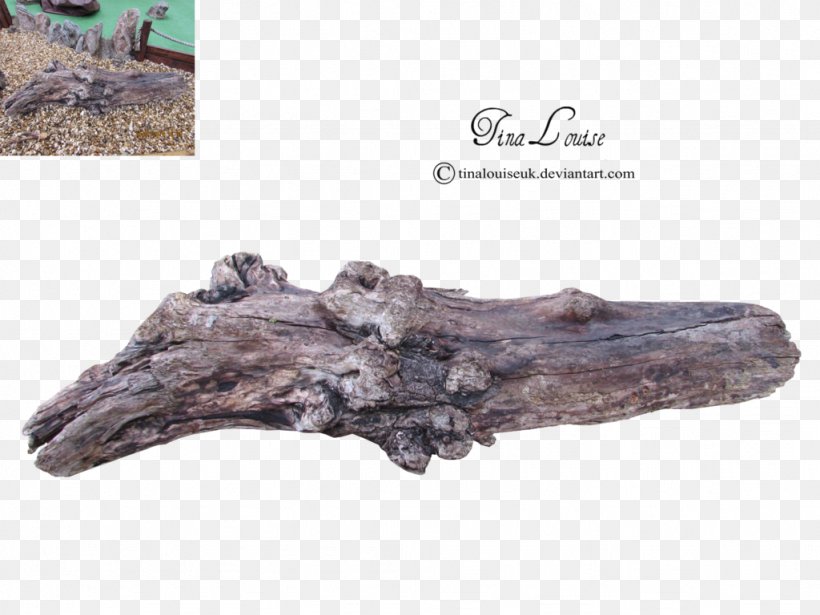 Driftwood Tree Stump Lumberjack, PNG, 1024x768px, Driftwood, Art, Branch, Charcoal, Fossil Download Free