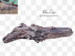 Tree - Driftwood Tree Stump Lumberjack PNG