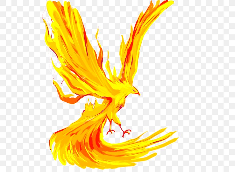 LethalChris Drawing Cartoon Phoenix Pencil, PNG, 600x600px, Drawing, Amazoncom, Cartoon, Coloring Book, Eagle Download Free