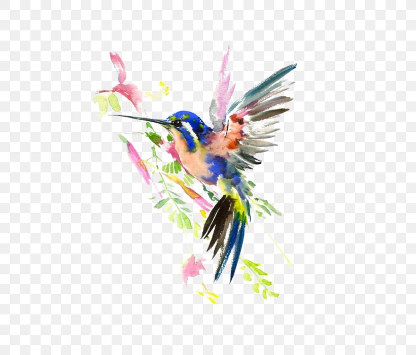 AllPosters.com Work Of Art Hummingbird Watercolor Painting, PNG, 700x700px, Allposterscom, Art, Art Museum, Artcom, Artist Download Free
