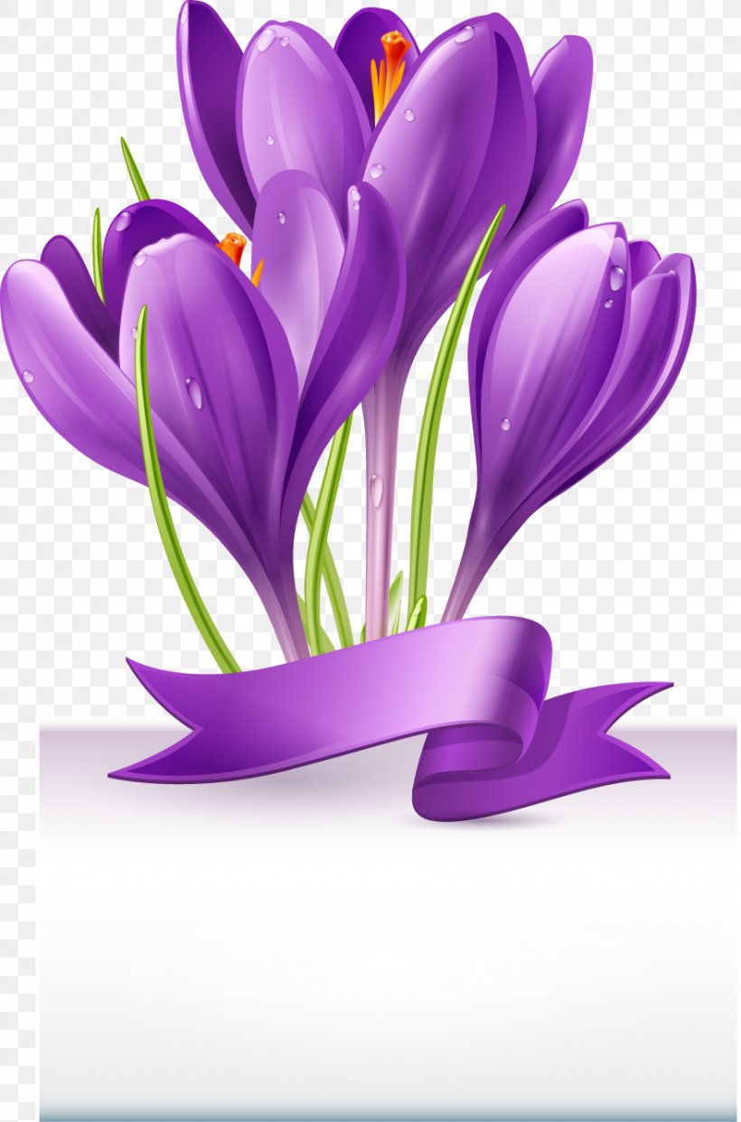 Beautiful Bouquet Of Purple Ribbon, PNG, 881x1335px, Crocus, Drawing, Flower, Flowering Plant, Illustration Download Free