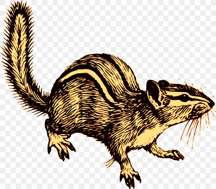 Chipmunk Rodent Squirrel Cat Clip Art, PNG, 2400x2111px, Chipmunk, Alvin And The Chipmunks In Film, Beaver, Carnivoran, Cat Download Free