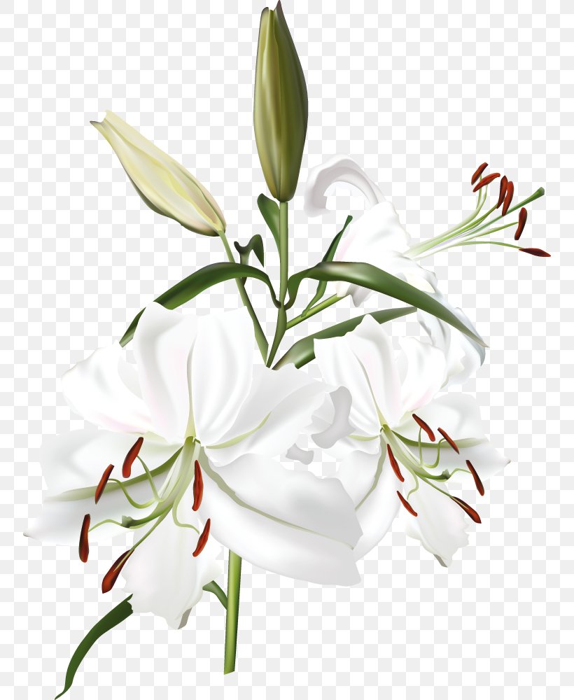 Clip Art Image Vector Graphics, PNG, 754x1000px, Flower, Cut Flowers, Floral Design, Floristry, Flower Arranging Download Free