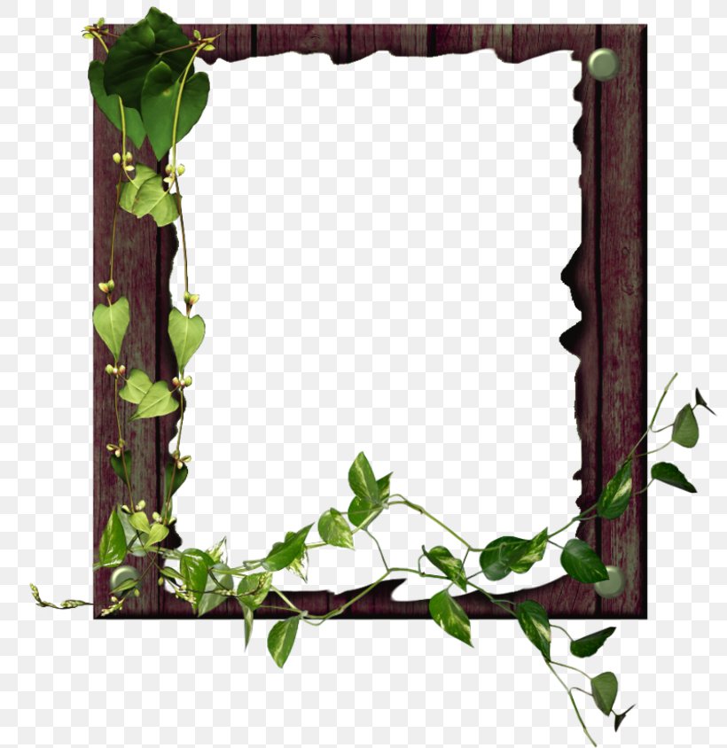 Background Flower Frame, PNG, 800x844px, Picture Frames, Allah, Branch, Fasting In Islam, Flower Download Free