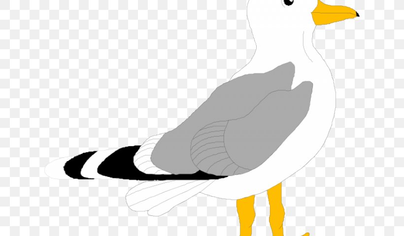 Bird Gulls Clip Art Vector Graphics Illustration, PNG, 640x480px, Bird, Albatross, Animal, Beak, Bird Nest Download Free