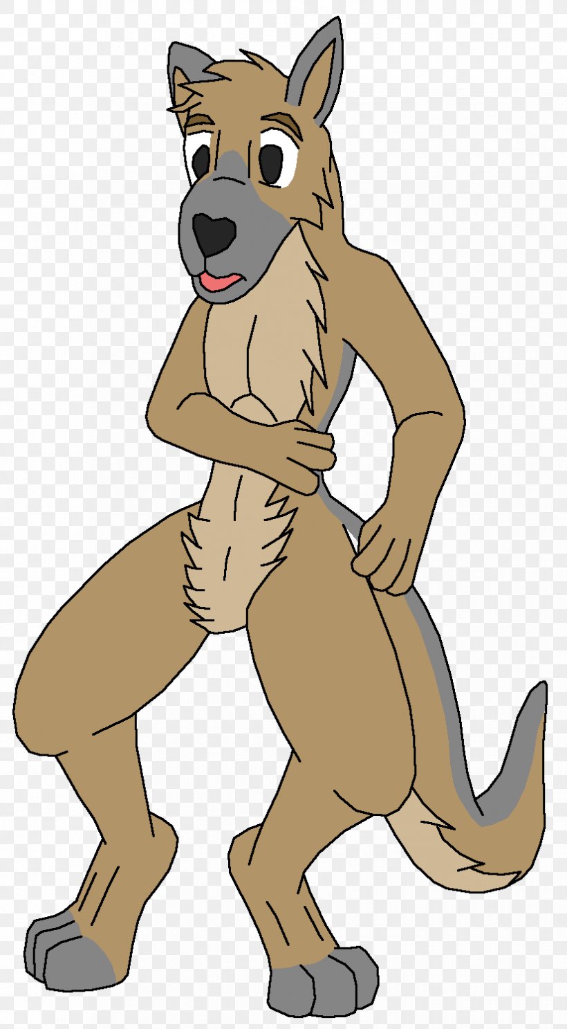 Macropodidae Kangaroo Marsupial Tail Animal, PNG, 825x1497px, Macropodidae, Animal, Art, Carnivoran, Cartoon Download Free