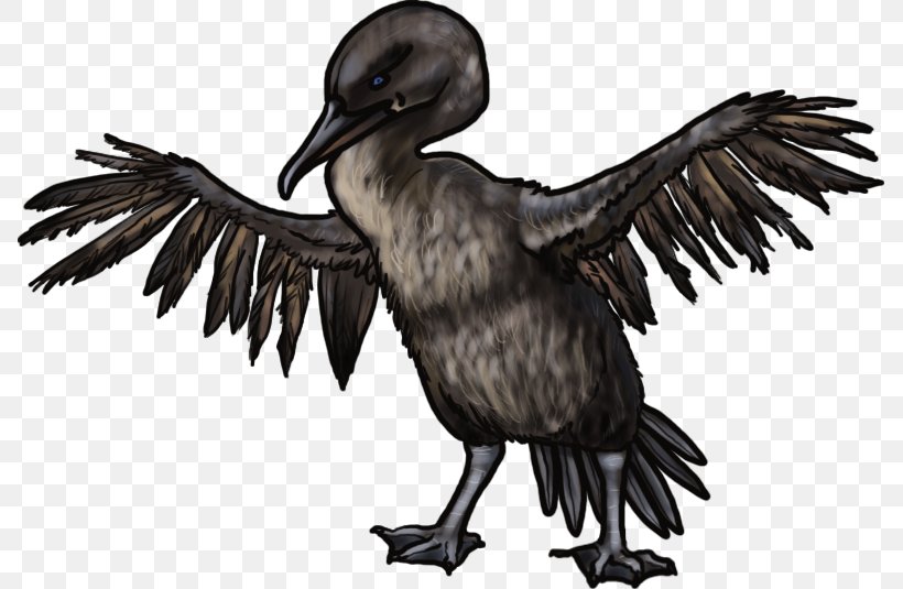 Cormorant, PNG, 787x535px, Cormorant, Beak, Bird, Bird Of Prey, Crane Like Bird Download Free