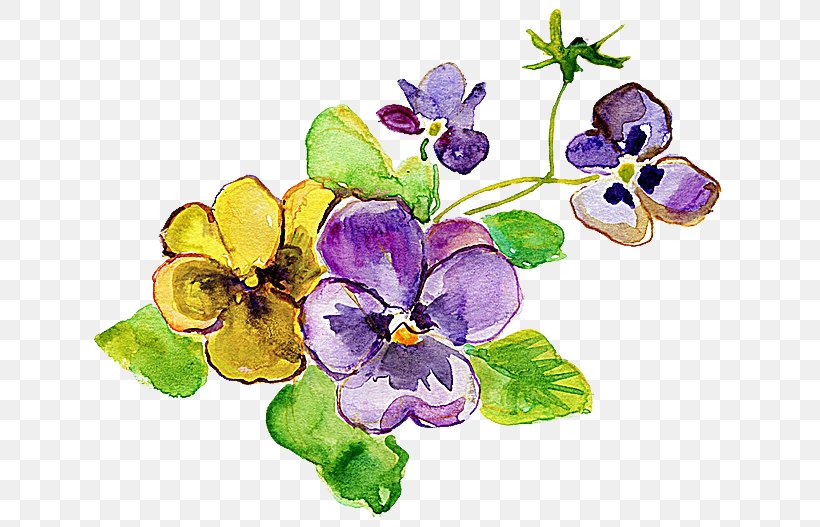 Pansy Violet Flower Yellow Photography, PNG, 650x527px, Pansy, Banco De Imagens, Floral Design, Flower, Flowering Plant Download Free