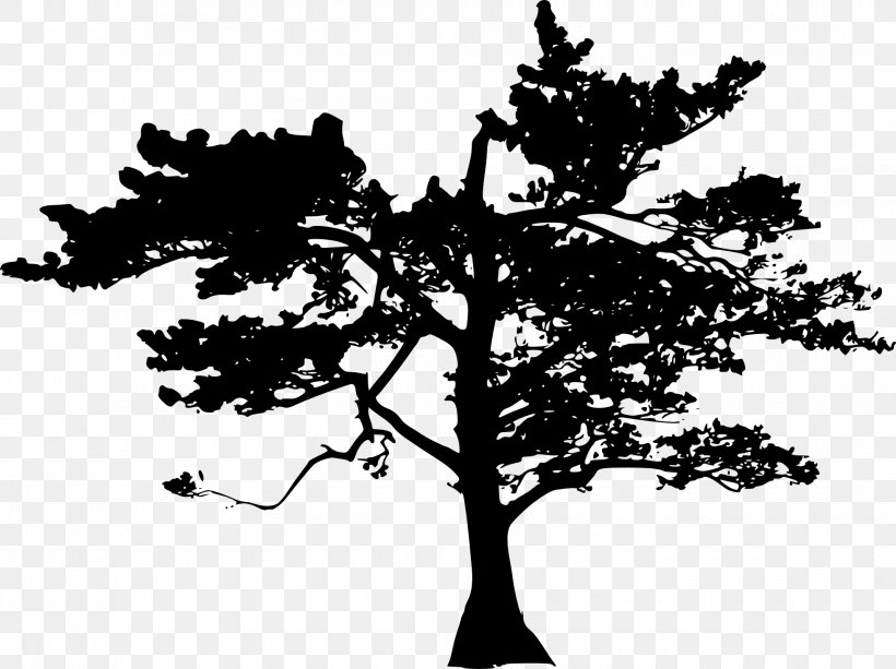 Silhouette Photography Vector Graphics Image, PNG, 1960x1466px, Silhouette, Blackandwhite, Botany, Branch, Leaf Download Free