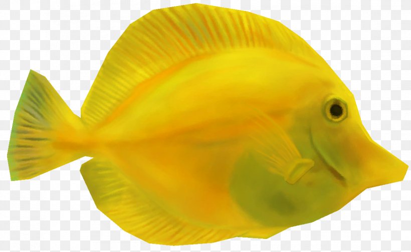 Coral Reef Fish Yellow Tang Animal, PNG, 1161x713px, Fish, Acanthuridae, Animal, Aquarium, Aquatic Animal Download Free