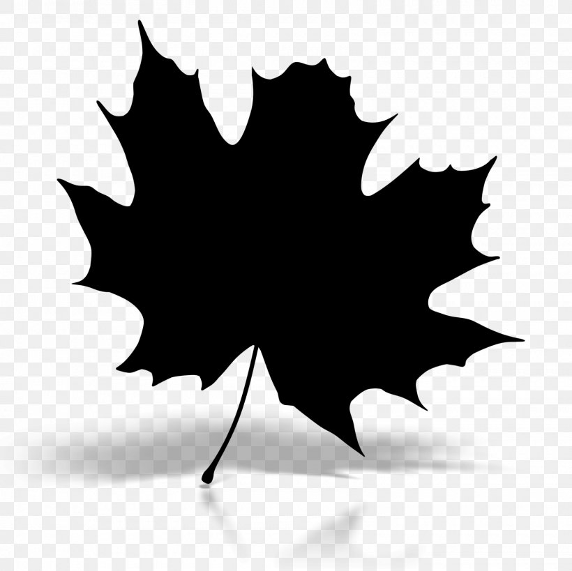 Maple Leaf Baku Silhouette Image Clip Art, PNG, 1600x1600px, Maple Leaf, Azerbaijan, Azerbaijani Language, Baku, Blackandwhite Download Free