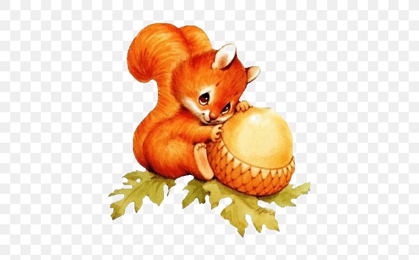 Squirrel Raccoon Chipmunk Cuteness Clip Art, PNG, 510x510px, Squirrel, Calabaza, Carnivoran, Cartoon, Child Download Free