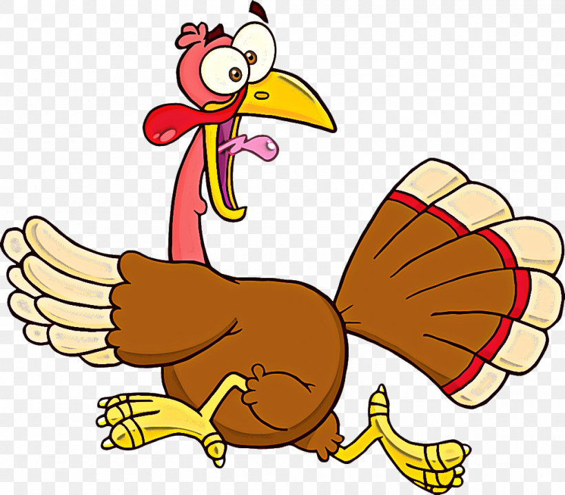 Cartoon Turkey Wing Bird Beak, PNG, 1000x878px, Cartoon, Beak, Bird, Turkey, Wing Download Free