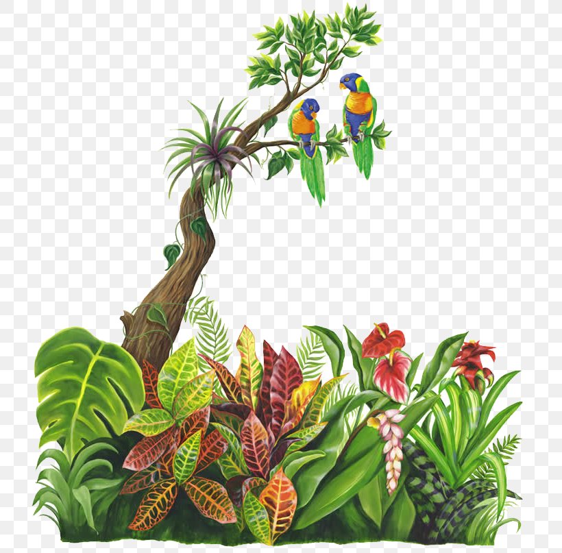 Jungle Tropical Rainforest, PNG, 750x807px, Jungle, Child, Drawing, Flowerpot, Forest Download Free