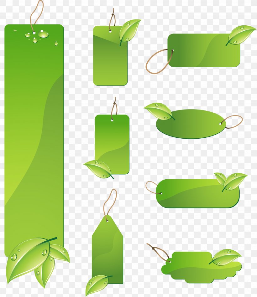 Leaf, PNG, 4813x5576px, Green, Coreldraw, Grass, Leaf, Rectangle Download Free