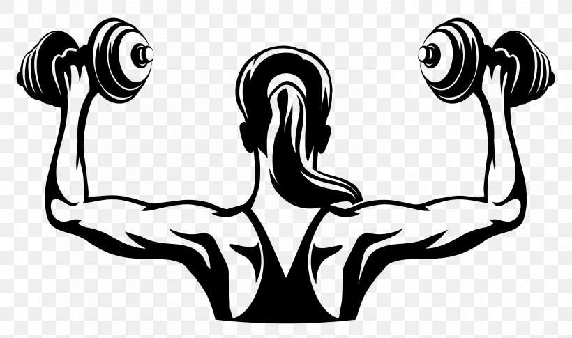 Physical Fitness Logo Fitness Centre Woman Dumbbell Png