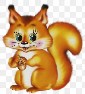 Child - Tree Squirrels Child Protein Chordata Mammal PNG