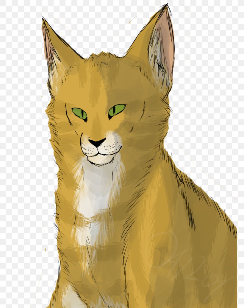 Whiskers Kitten Wildcat Red Fox, PNG, 774x1032px, Whiskers, Carnivoran, Cartoon, Cat, Cat Like Mammal Download Free