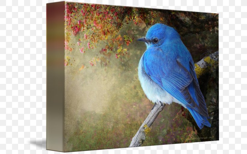 Eastern Bluebird Mountain Bluebird Western Bluebird Work Of Art, PNG, 650x514px, Eastern Bluebird, Art, Beak, Bird, Blue Download Free