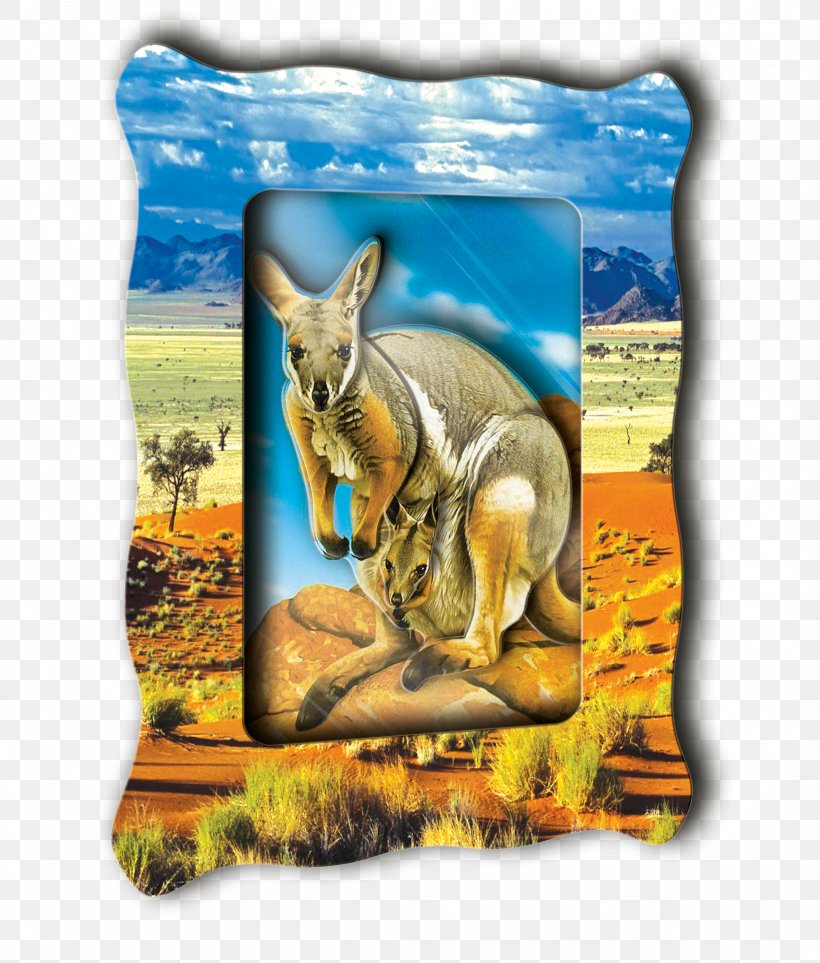 Kangaroo Picture Frames Scrapbooking Origami Annunciation Bridge, PNG, 2131x2505px, Kangaroo, Ansichtkaart, Cushion, Diary, Dog Download Free