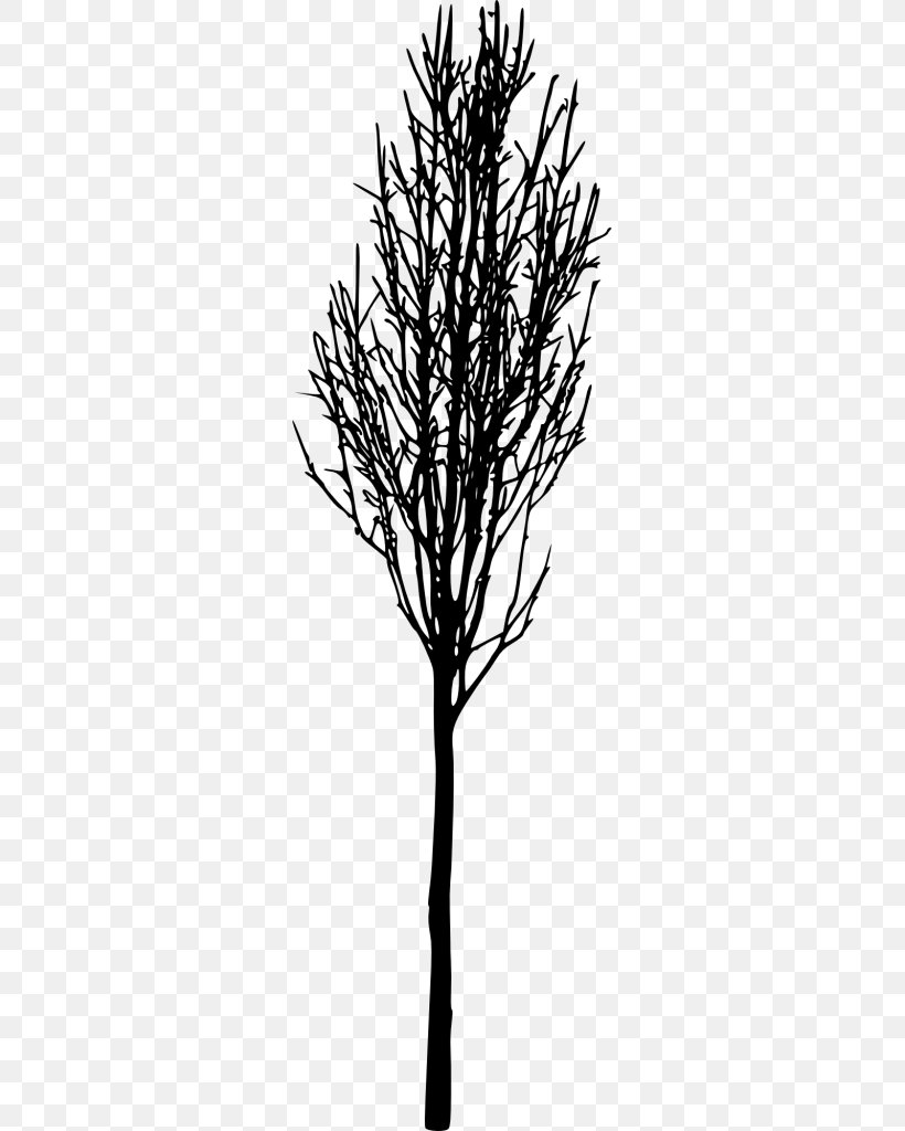 Tree Image Clip Art Transparency, PNG, 289x1024px, Tree, Blackandwhite, Branch, Drawing, Forest Download Free