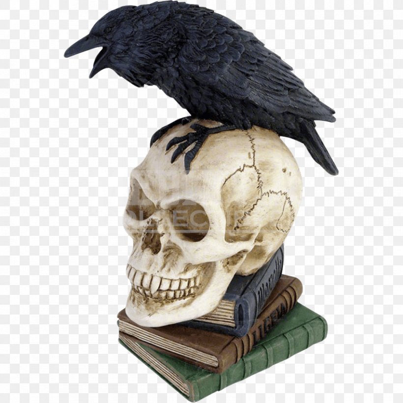 The Raven Skull Poetry Common Raven Bone, PNG, 850x850px, Raven, Alchemy, Bone, Book, Cerebrum Download Free