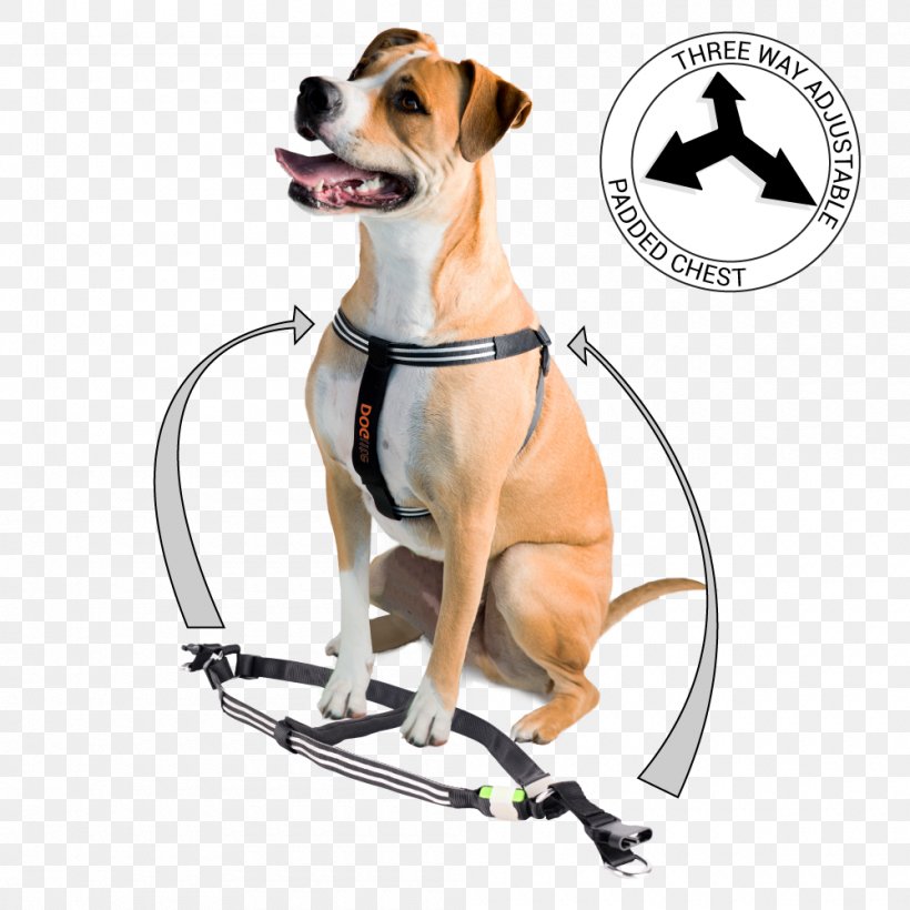 Dog Breed Leash Dog Harness Rhodesian Ridgeback Dog Collar, PNG, 1000x1000px, Dog Breed, Breed, Carnivoran, Cat, Collar Download Free