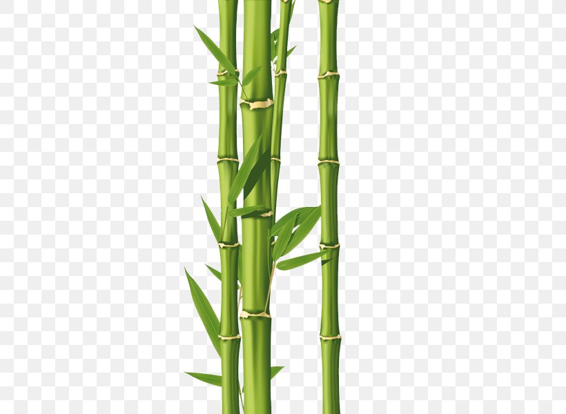 Drawing Bamboo Royalty-free Clip Art, PNG, 600x600px, Drawing, Art, Bamboo, Grass Family, Ink Wash Painting Download Free