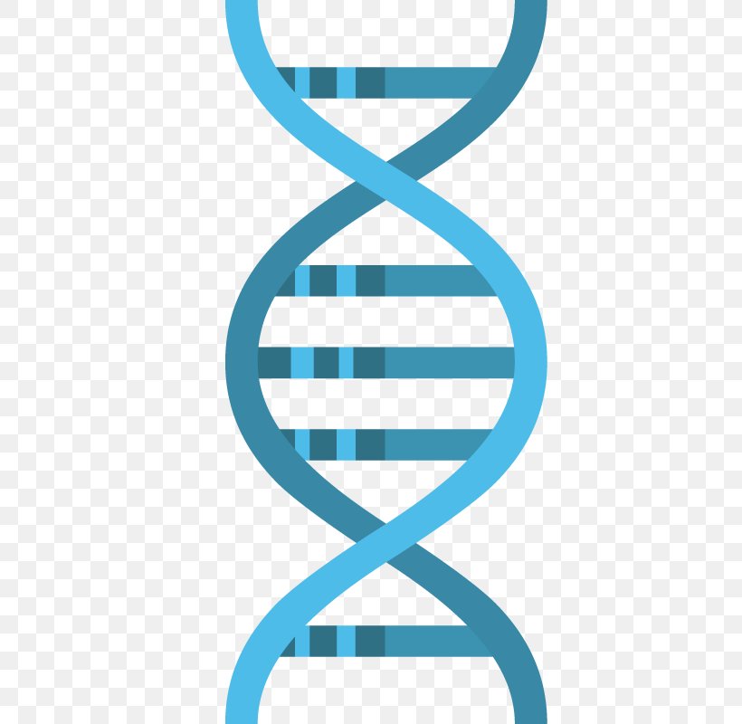 Vector Graphics DNA Illustration Image, PNG, 800x800px, Dna, Magnetic Field, Magnetism, Molecule, Number Download Free
