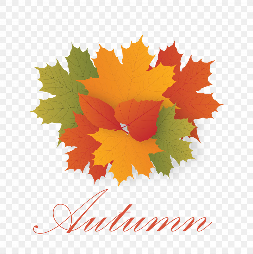 Hello Autumn Welcome Autumn Hello Fall, PNG, 2994x3000px, Hello Autumn, American Senior Benefits Llc, Biology, Computer, Hello Fall Download Free