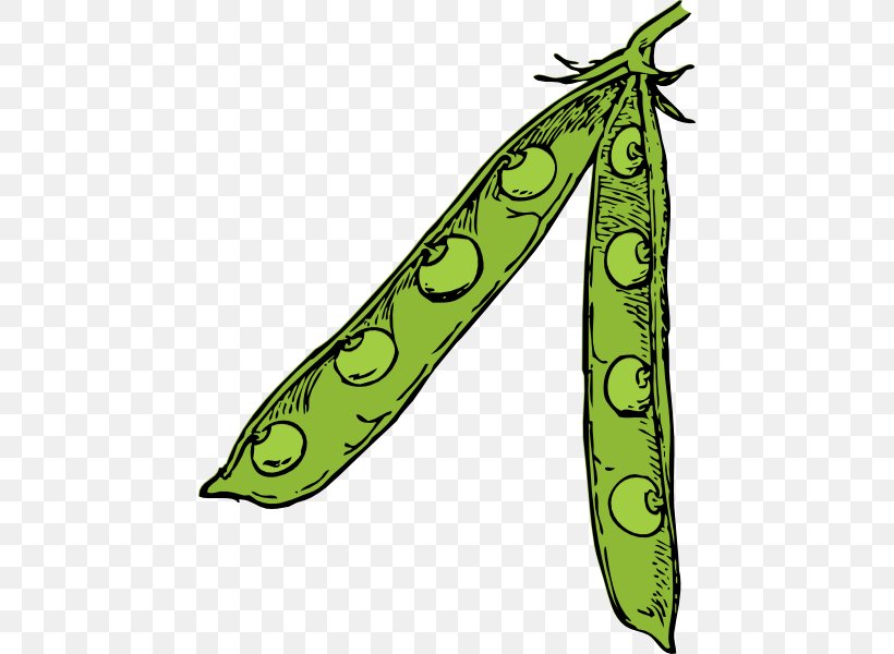 Pea Clip Art, PNG, 456x600px, Pea, Drawing, Food, Free Content, Leaf Download Free